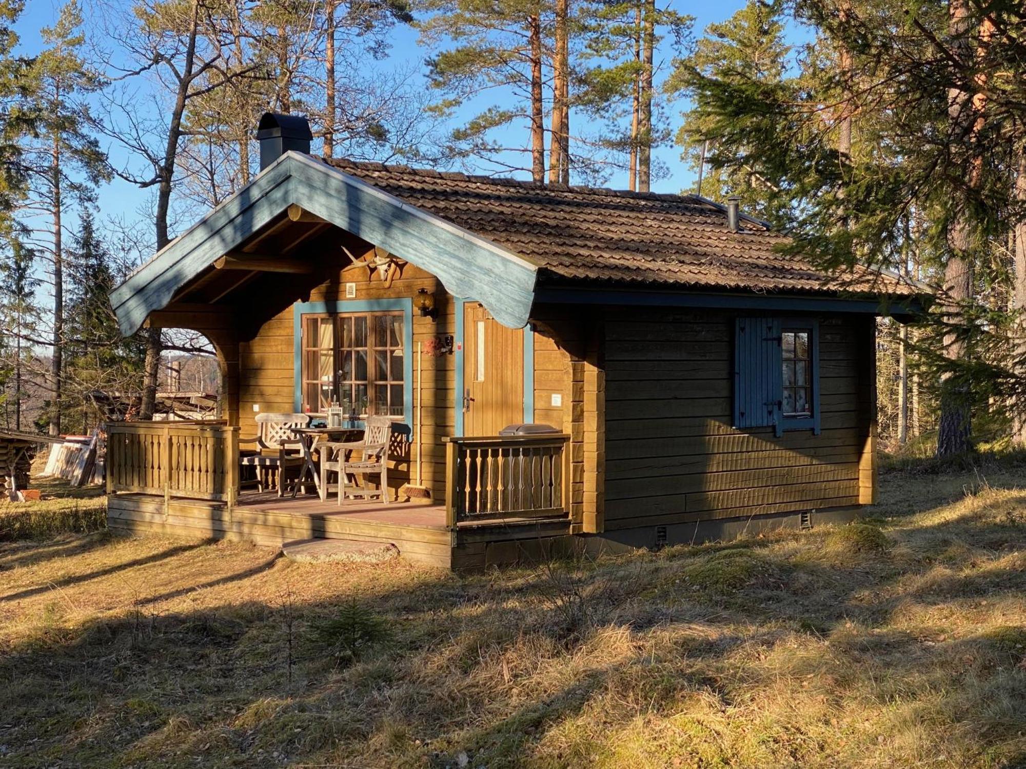 Timrad I Kanten Av Skogen Med Moejlighet