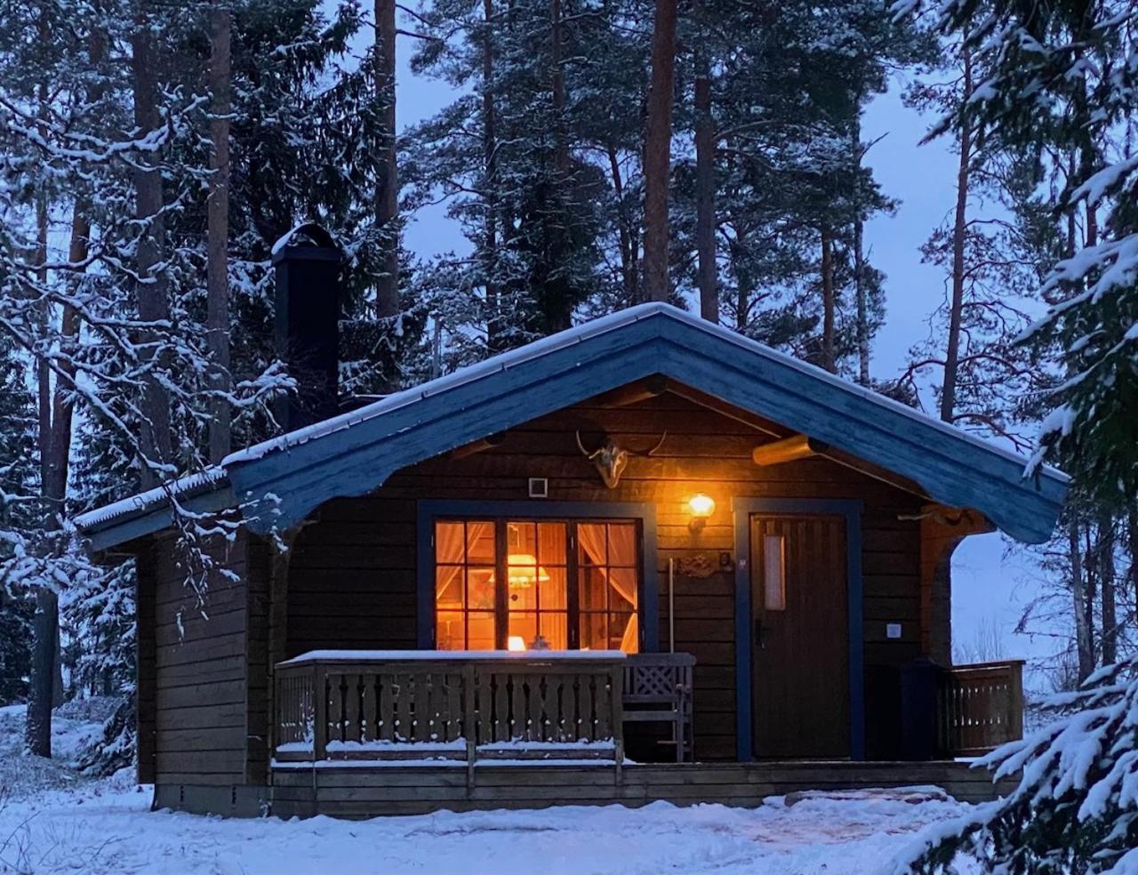 Timrad I Kanten Av Skogen Med Moejlighet