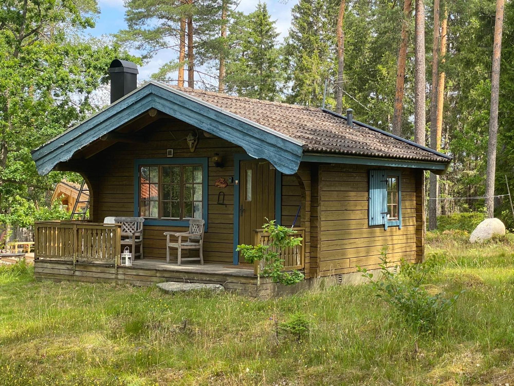 Timrad I Kanten Av Skogen Med Moejlighet